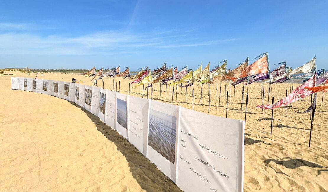 Beach Of Dreams – Stronger Shores